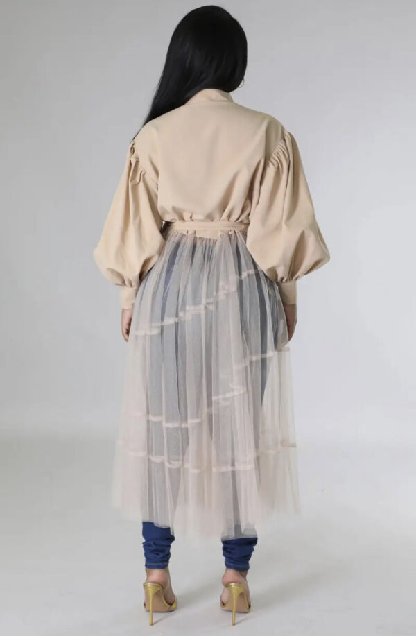 Long Sleeve Mesh Blouse Beige